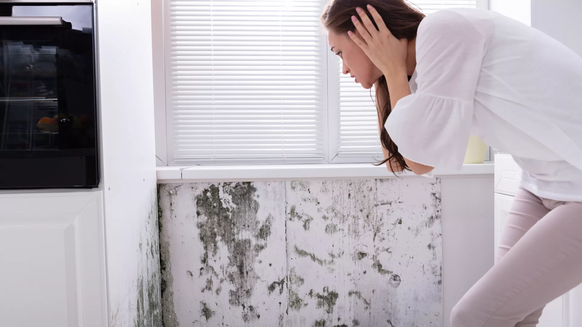 Mold Remediation Plano