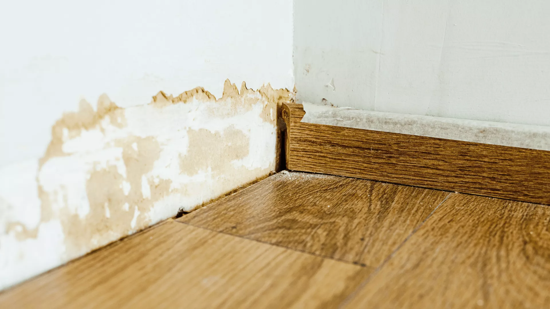 water restoration plano
